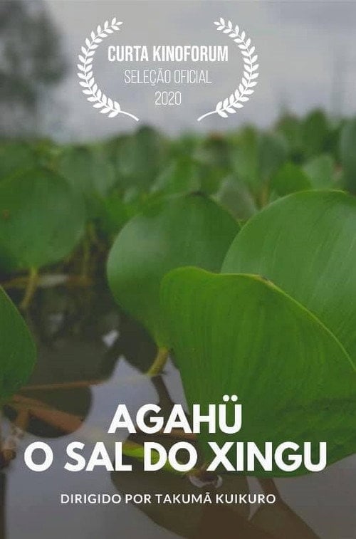 Movie poster for Agahü: O Sal do Xingu (2020)