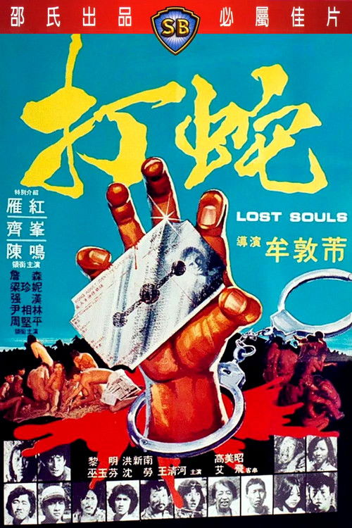 Movie poster for Lost Souls (1980)