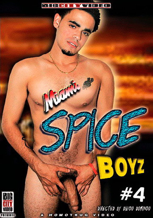 Movie poster for Miami Spice Boyz 4 (2007)