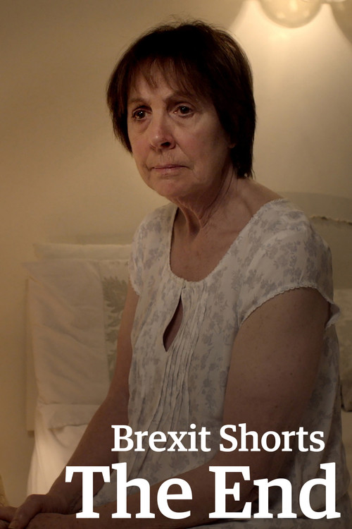 Movie poster for Brexit Shorts: The End (2017)