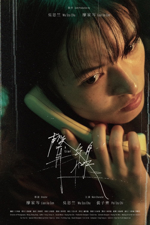 Movie poster for A Liar (2023)