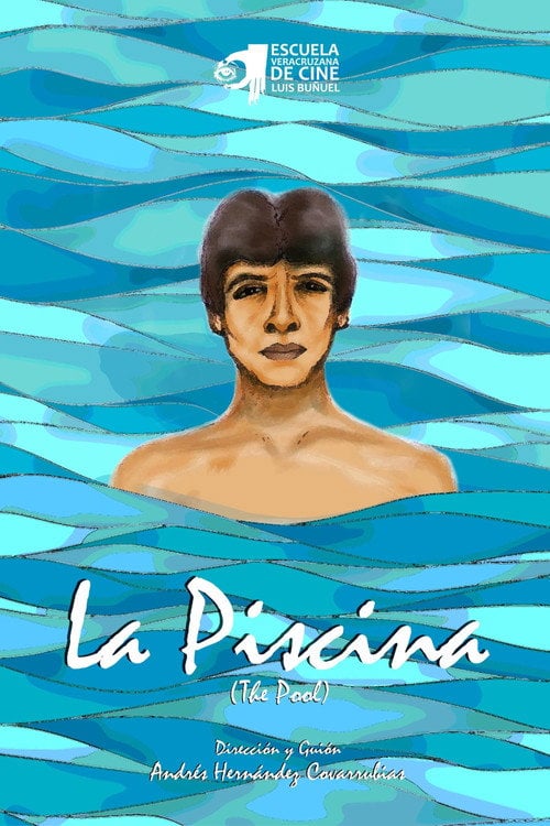 Movie poster for The Pool (2016)