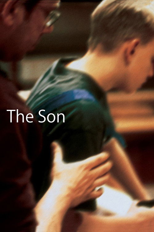 Movie poster for The Son (2002)
