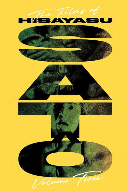 Revenge in S&M: An Interview with Hisayasu Sato poster