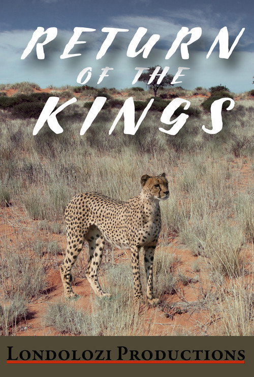 Movie poster for The Return of the Kings (1999)