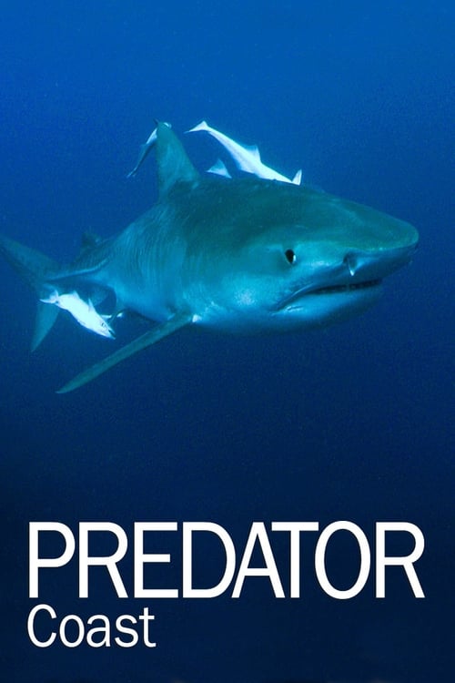 Movie poster for Predator Coast (2012)