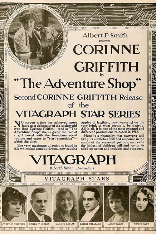 Movie poster for The Adventure Shop (1919)