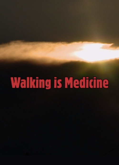 Movie poster for Walking Is Medicine (2017)
