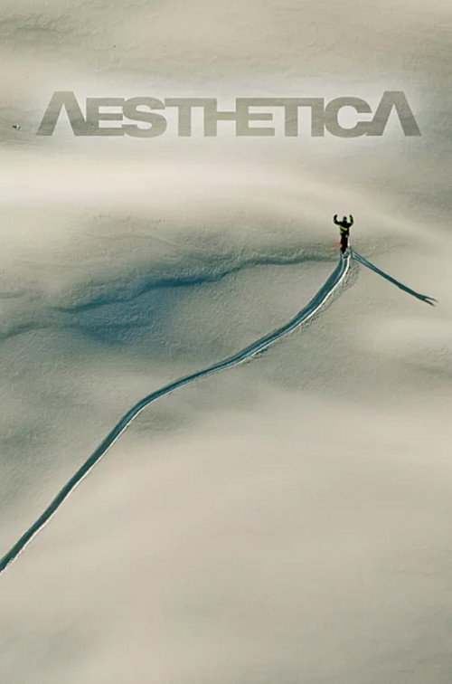 Movie poster for Aesthetica (2009)
