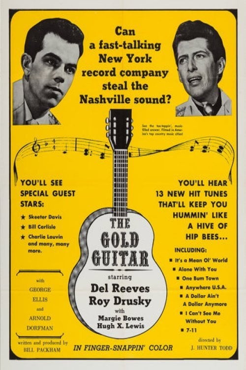 Movie poster for The Gold Guitar (1966)