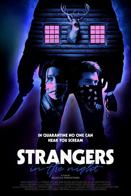 Movie poster for Strangers in the Night (2021)