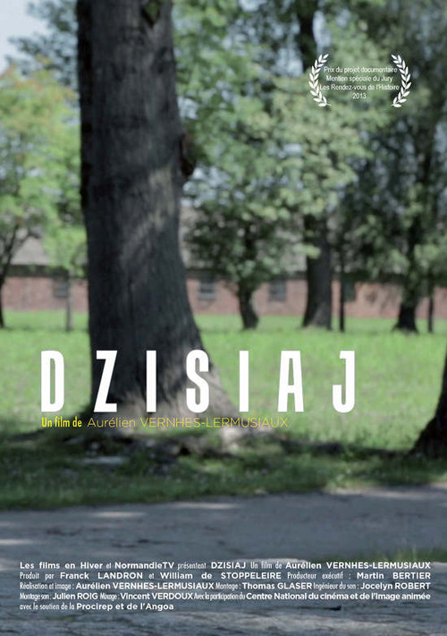 Movie poster for Dzisiaj (2014)