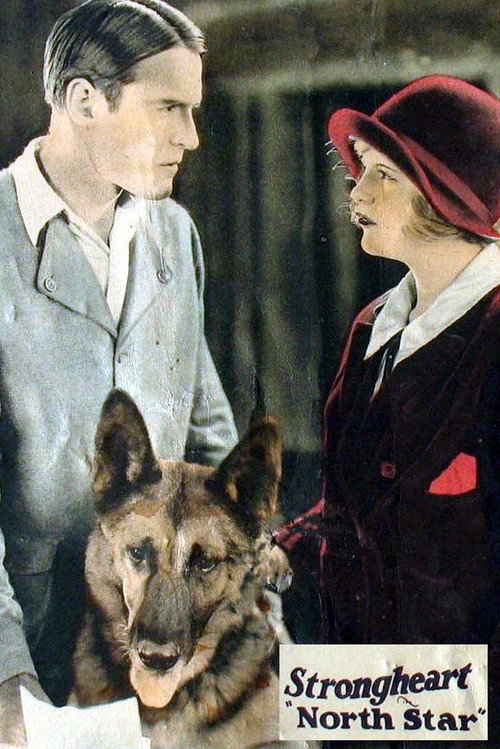 Movie poster for North Star (1925)