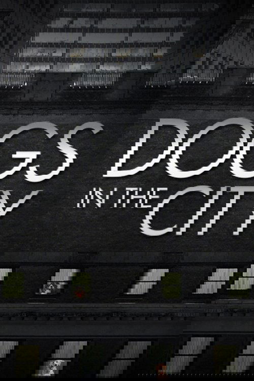 Dogs In The City poster