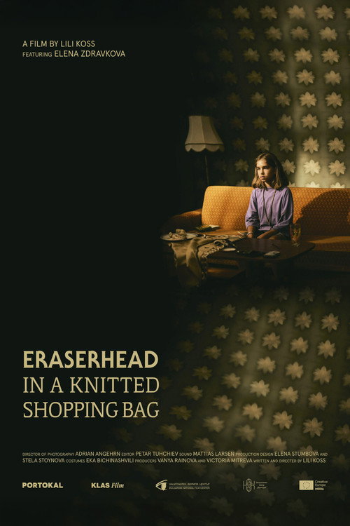 Movie poster for Eraserhead in a Knitted Shopping Bag (2025)