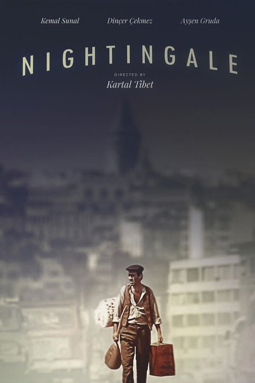 Movie poster for Nightingale (1979)