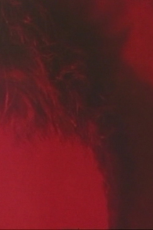 Movie poster for RAVEN TIME, IRON VOICE (1994)