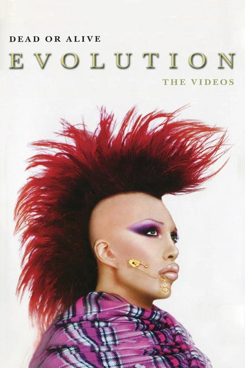 Movie poster for Dead Or Alive: Evolution - The Videos (2003)
