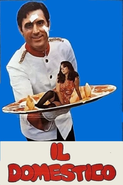 Movie poster for The Household (1974)