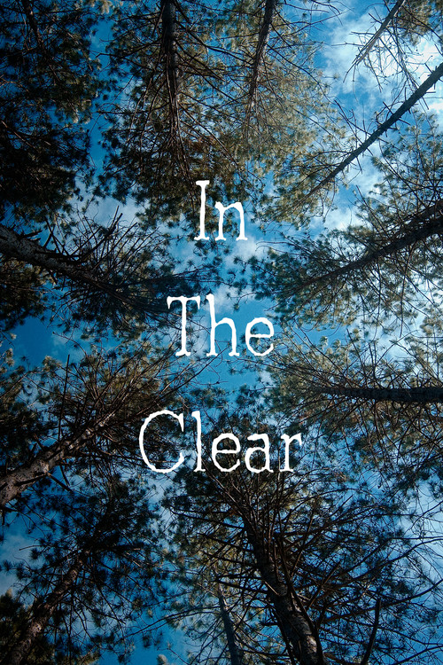 Movie poster for In the Clear (2021)