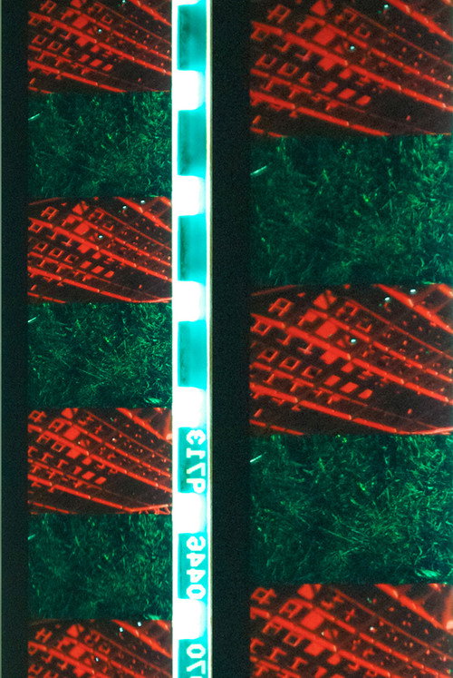 Movie poster for Red Green (2012)