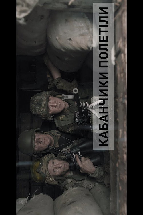 Movie poster for Blindage. Brawn's Flyed (2016)
