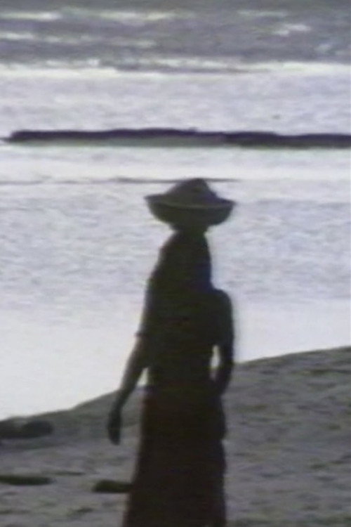 Movie poster for Sable (1982)