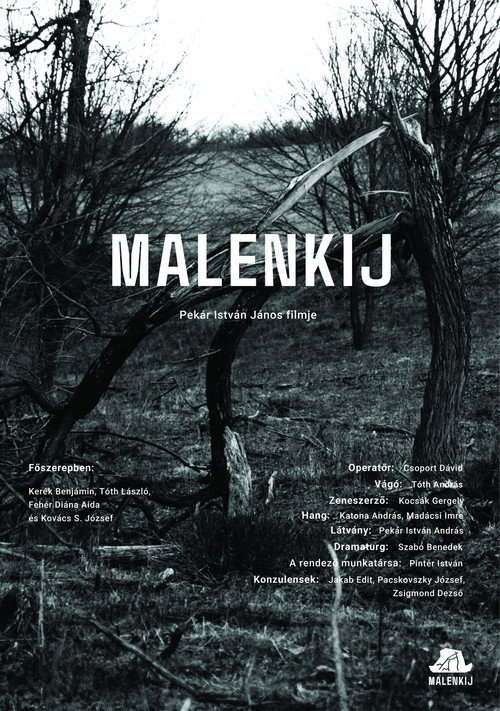 Movie poster for Malenkij (2025)