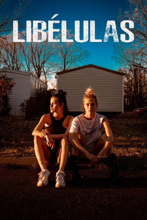 Movie poster for Dragonflies (2022)