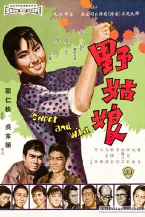 Movie poster for Sweet and Wild (1966)
