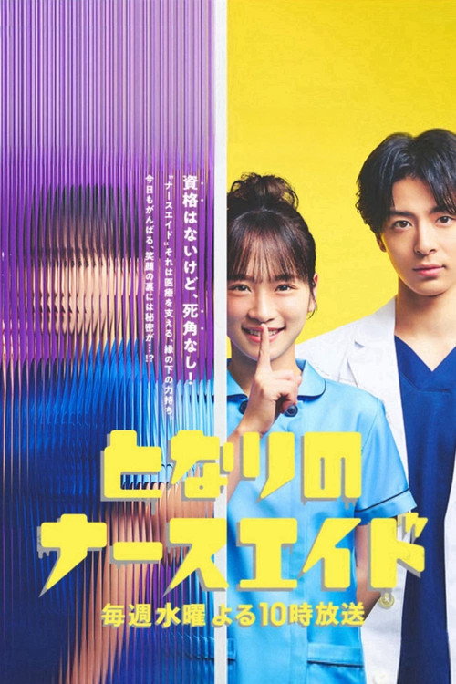 Movie poster for Nursing Aide at Your Side SP (2025)