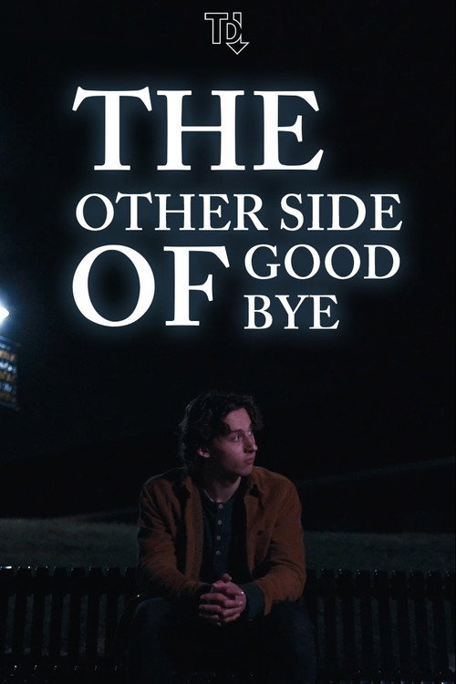 Movie poster for The Other Side of Goodbye (2025)