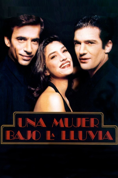 Movie poster for Una mujer bajo la lluvia (1992)