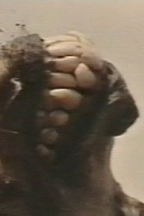 Movie poster for Africa addio (Plagium 11) (1996)