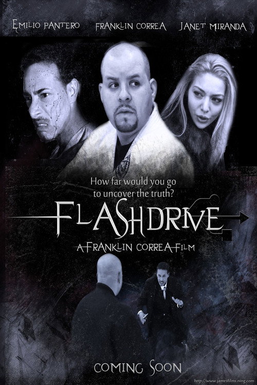 Movie poster for Flashdrive (2012)