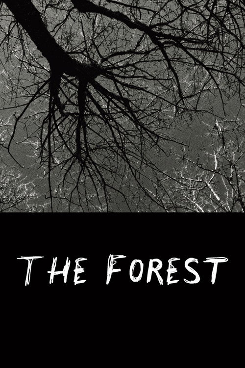 Movie poster for The Forest (2025)