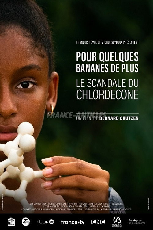 Movie poster for Pour quelques bananes de plus, le scandale du chlordécone (2019)