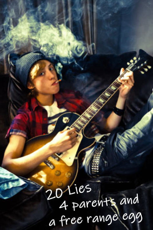 Movie poster for 20 Lies, 4 Parents and a Little Egg (2013)