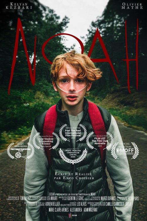 Movie poster for Noah (2020)