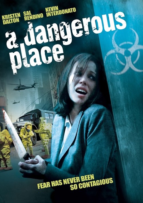 Movie poster for A Dangerous Place (2012)