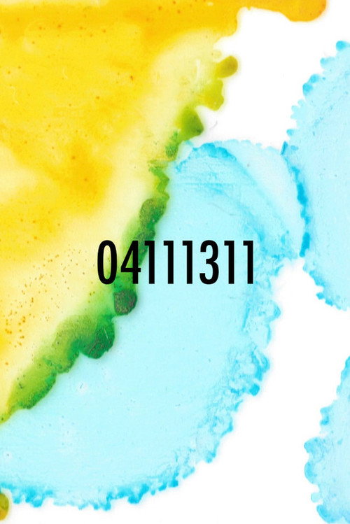 Movie poster for 04111311 (2021)
