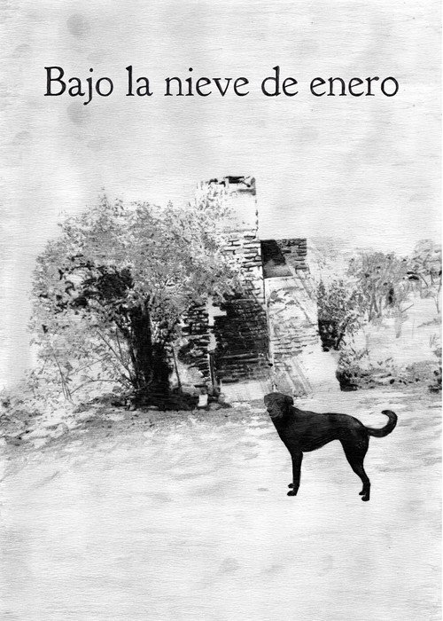 Movie poster for Under the summer snow (2024)