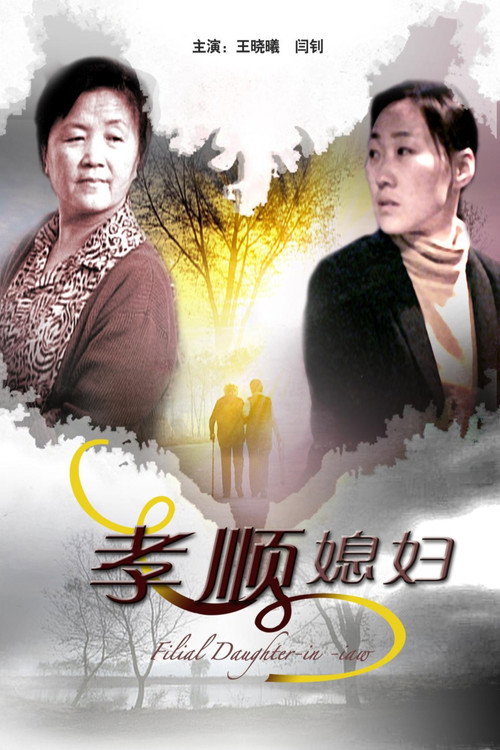 Movie poster for 孝顺媳妇 (2009)
