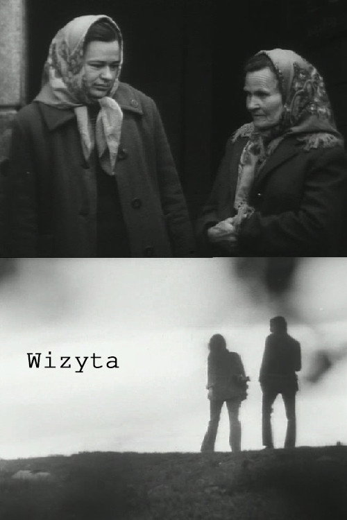 Movie poster for The Visit (1974)