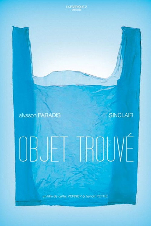 Movie poster for Souvenir (2008)