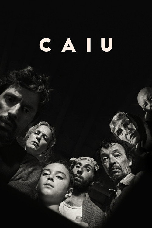 Movie poster for Caiu (2024)