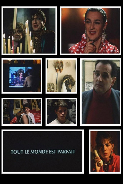 Movie poster for Everyone Is Perfect (1994)