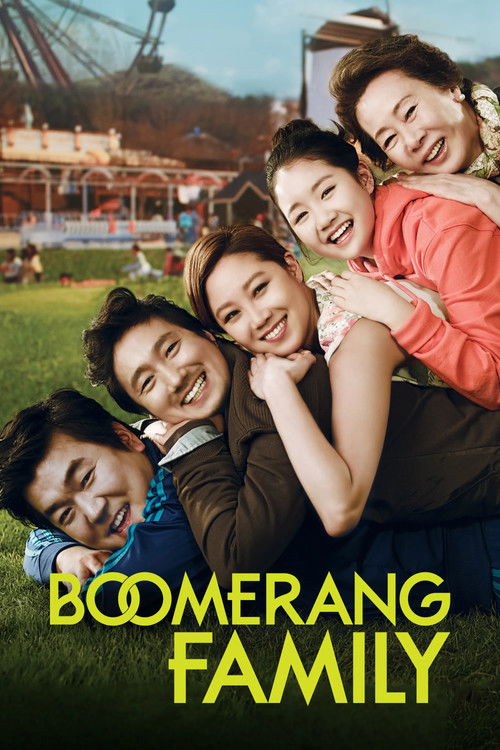 Movie poster for Boomerang Family (2013)
