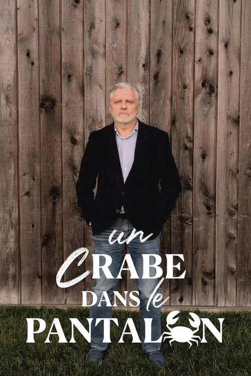 Movie poster for Un crabe dans le pantalon (2025)