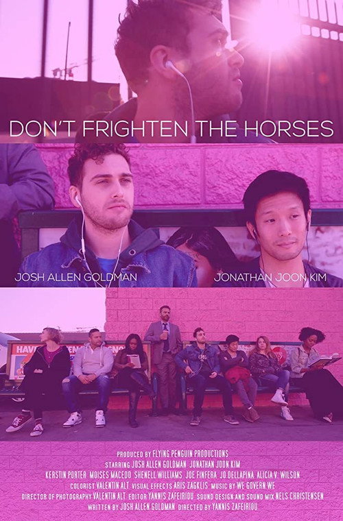 Movie poster for Don't Frighten the Horses